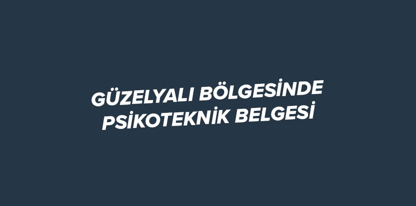 guzelyali da psikoteknik belgesi