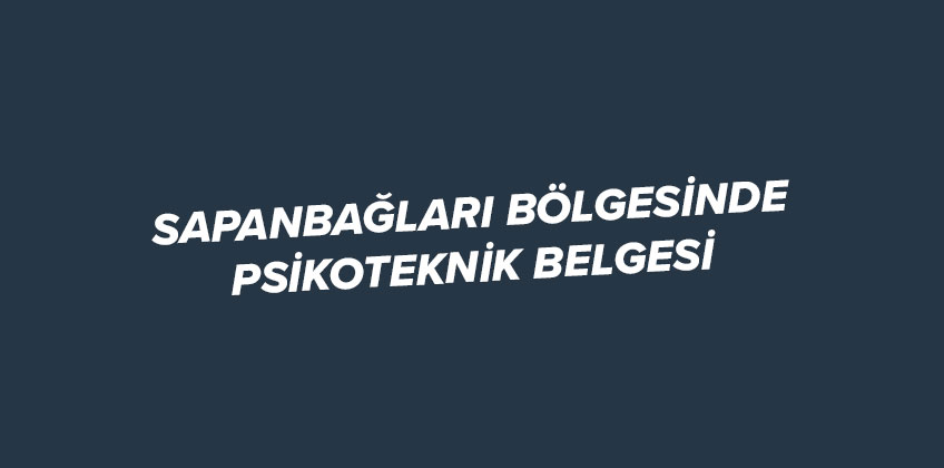 sapanbaglari nda psikoteknik belgesi