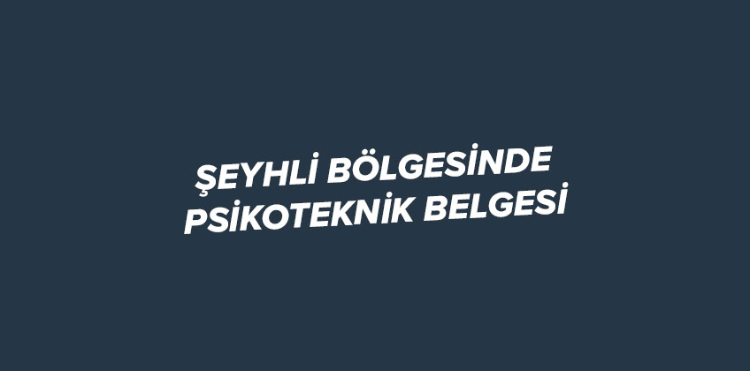 seyhli de psikoteknik belgesi